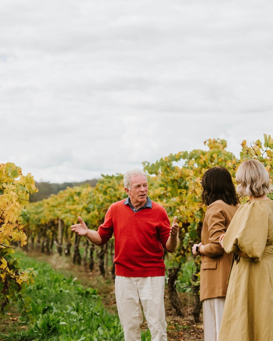VIGNERON EXPERIENCE