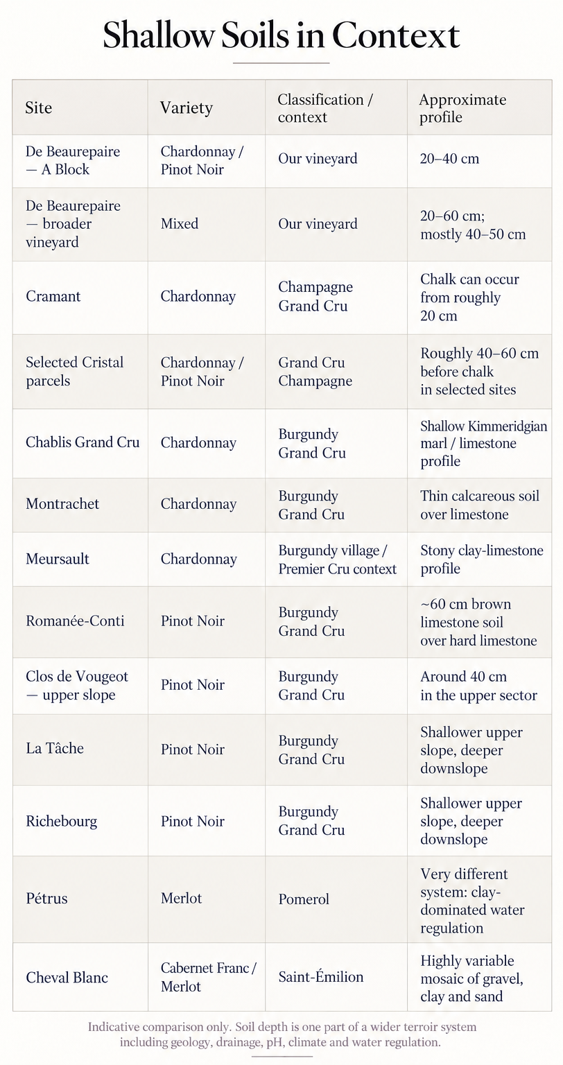 Soil depth comparison of De Beaurepaire A Block with Grand Cru vineyards in Burgundy and Champagne, including Romanée-Conti, La Tâche, Richebourg, Montrachet and Cramant.