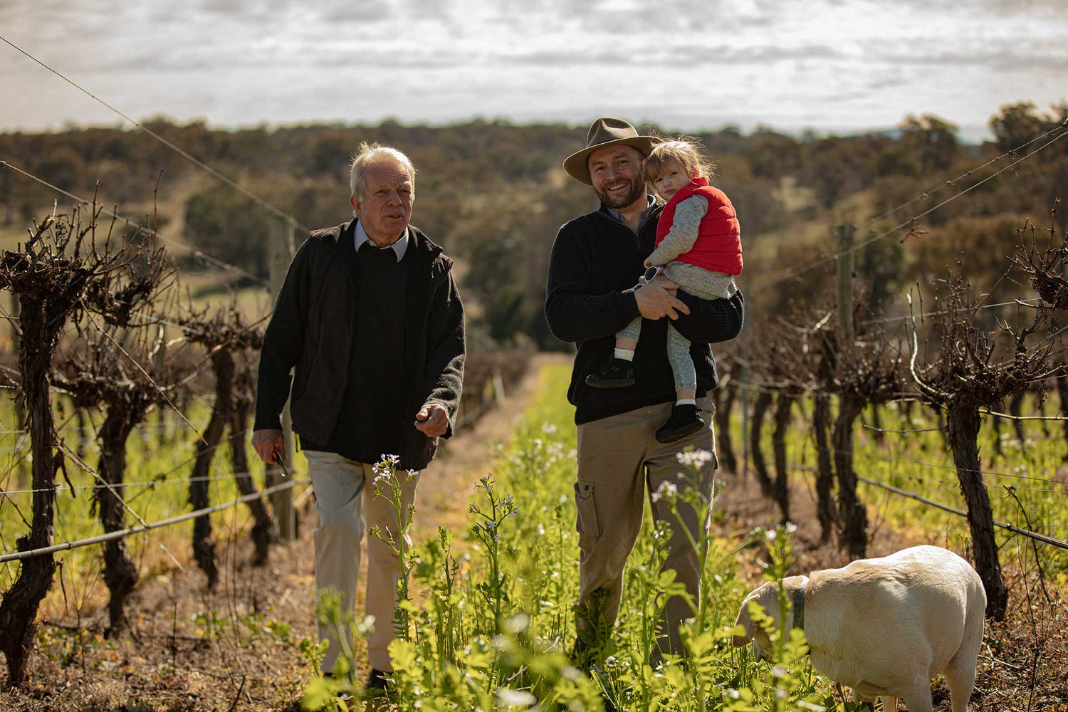 GREAT WINE STARTS IN THE VINEYARD