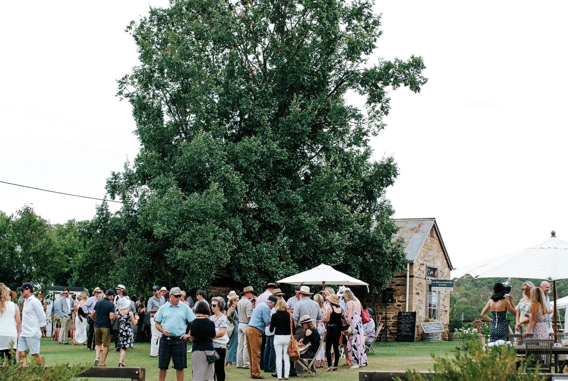 LUNCH TICKET — Long Lunch in the Vines (Sat 7 Mar 2026)