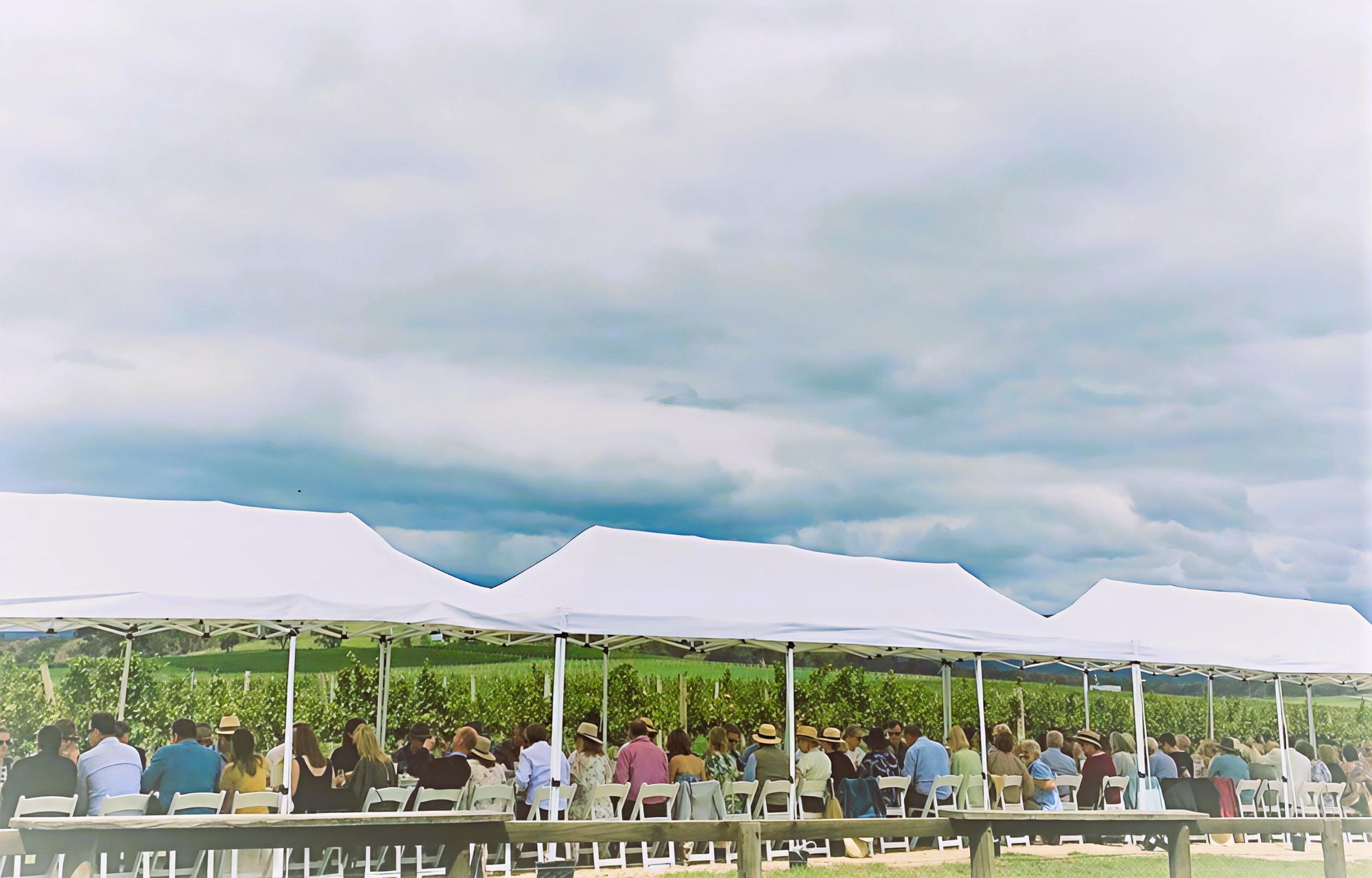 LUNCH TICKET — Long Lunch in the Vines (Sat 7 Mar 2026)